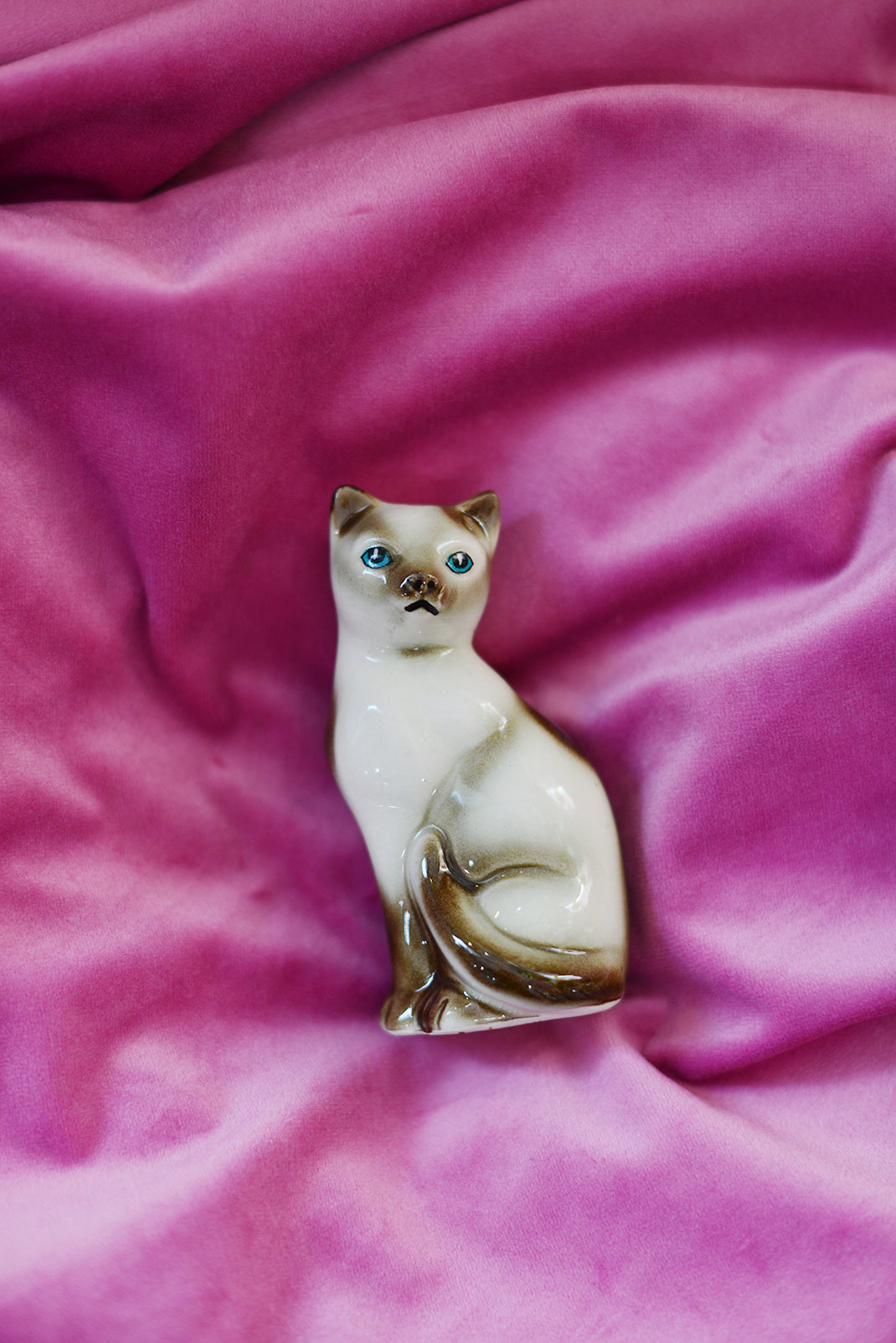 Ceramic kitty salt cellar