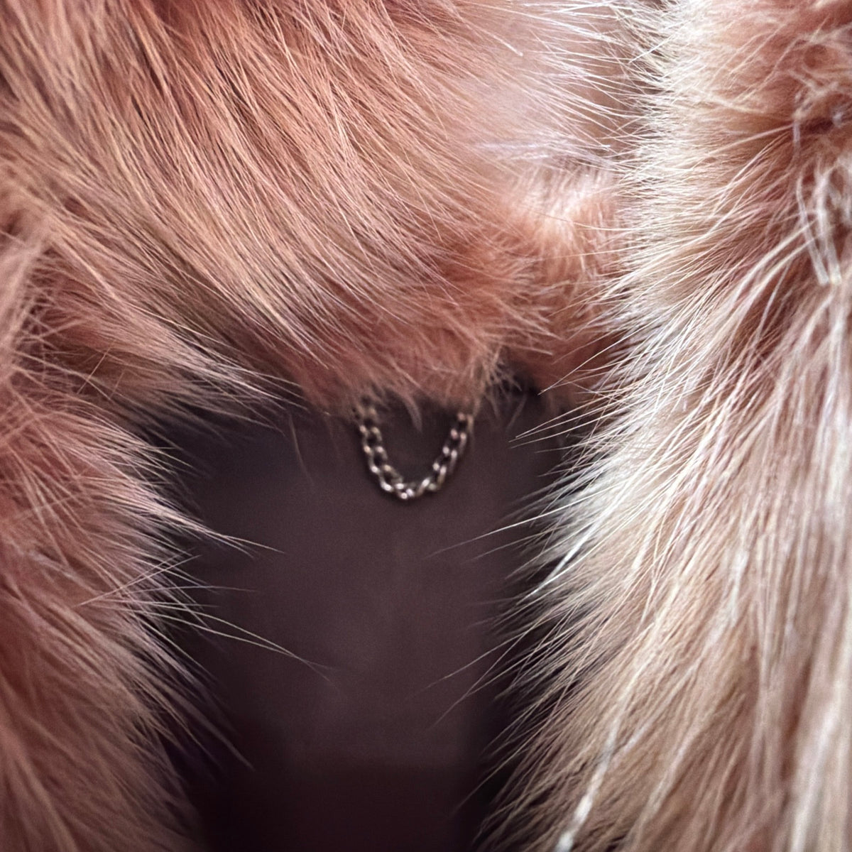 Fox peachy fur coat