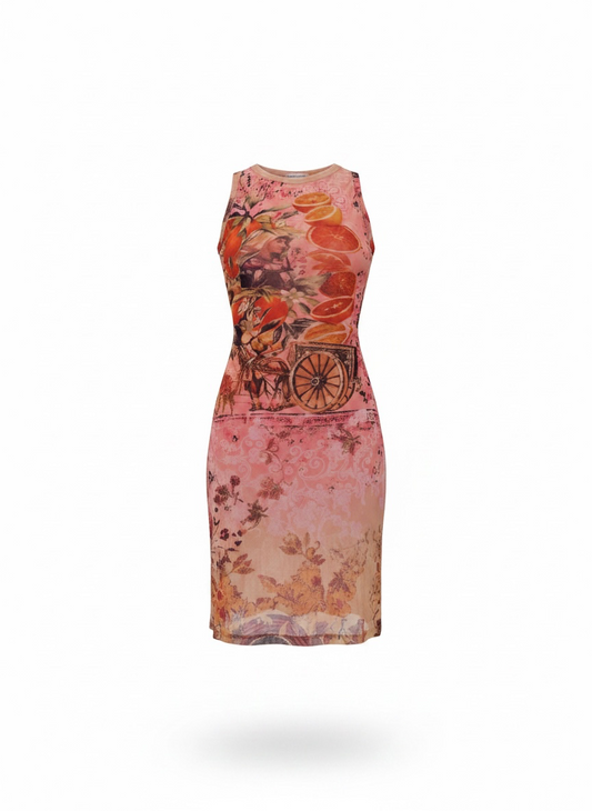 SAVE THE QUEEN mesh dress in Size: Small
