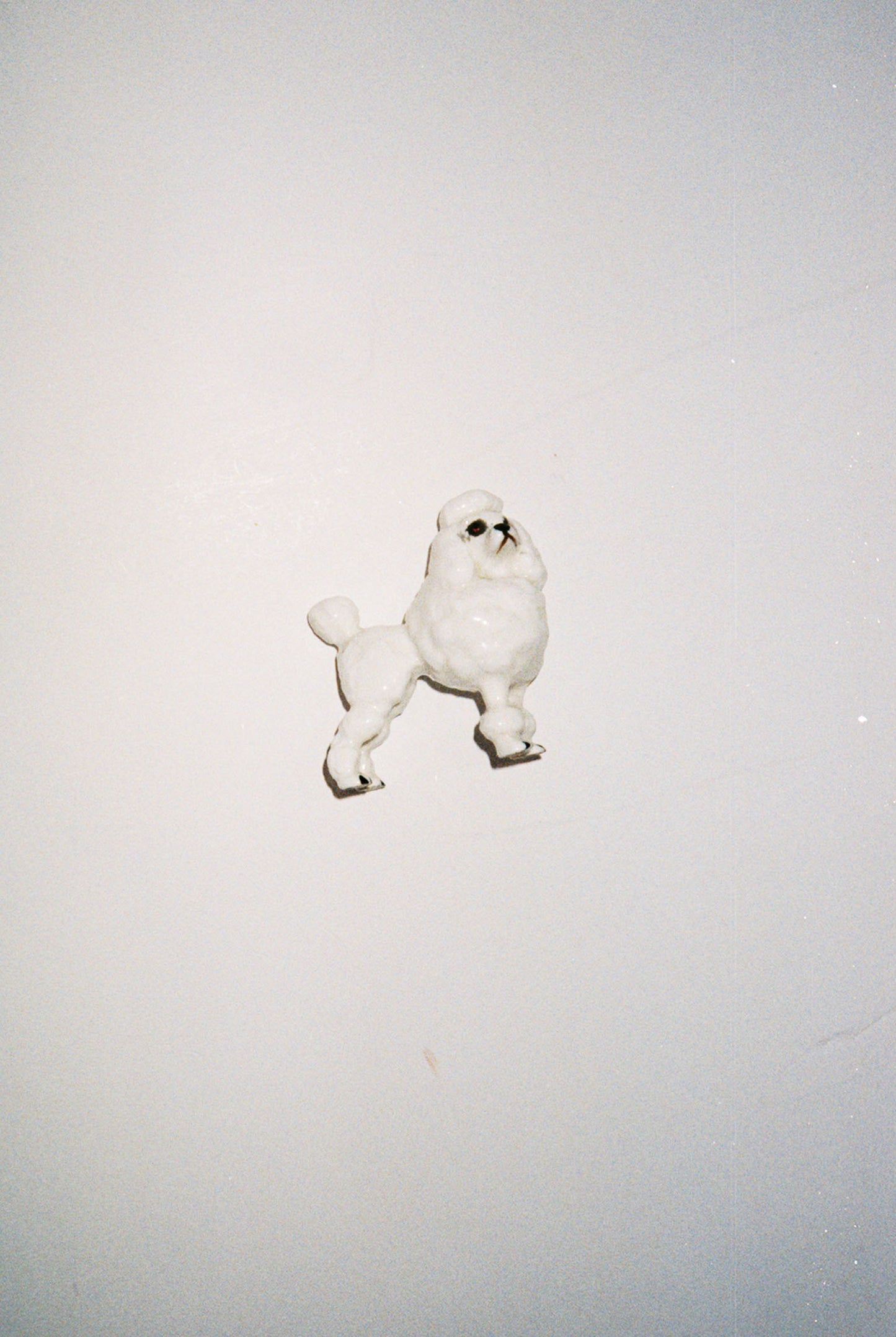 Ceramic poodle dog