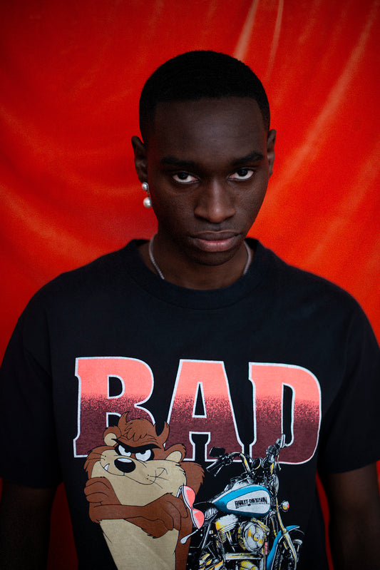 Harley Davidson 1991